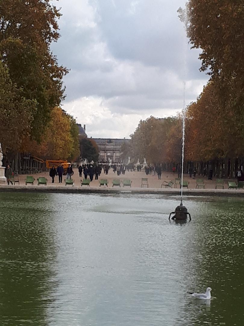 paris jardin des tuileries to arc du carrousel louvre nov19