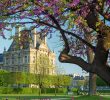 Jardin Du Louvre Luxe Springtime In Paris