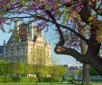 Jardin Du Louvre Luxe Springtime In Paris