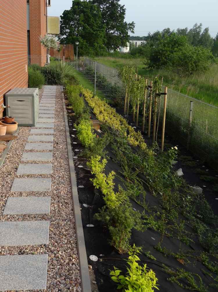 aménagement jardin en pente jardin arrière pente forte