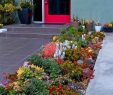 Jardin En Pente solution Beau Aménagement Petit Jardin – 41 Idées Superbes Pour Embellir
