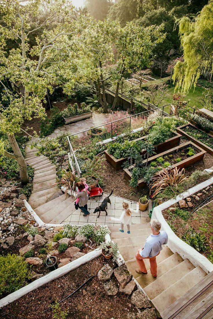 Jardin En Pente solution Génial Fun and Food In Home Grown Ve Able Gardening