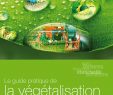 Jardin En Pente solution Luxe Le Guide Pratique De La Végétalisation sopranature by