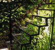 Jardin En Pente solution Nouveau 18 solutions Pour Créer Un Escalier Extérieur