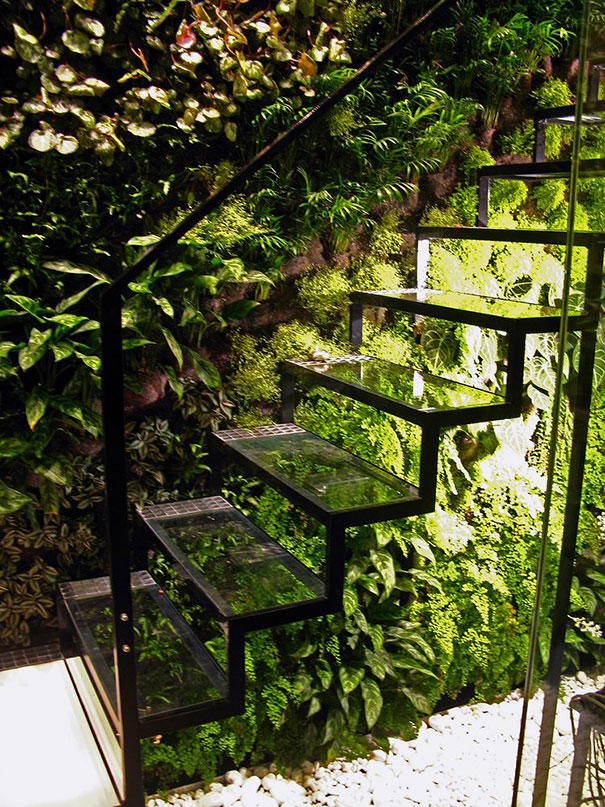 escalier jardin verre