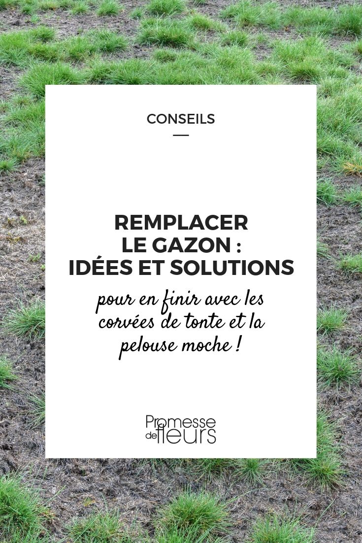 remplacer gazon idee solutions