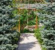 Jardin Paysager Moderne Frais Belle Conception De Paysage Chemin De Jardin Gazebo En Métal Et Arbres   Feuilles Persistantes Dans La Lumi¨re Du soleil Aménagement Moderne Sapins