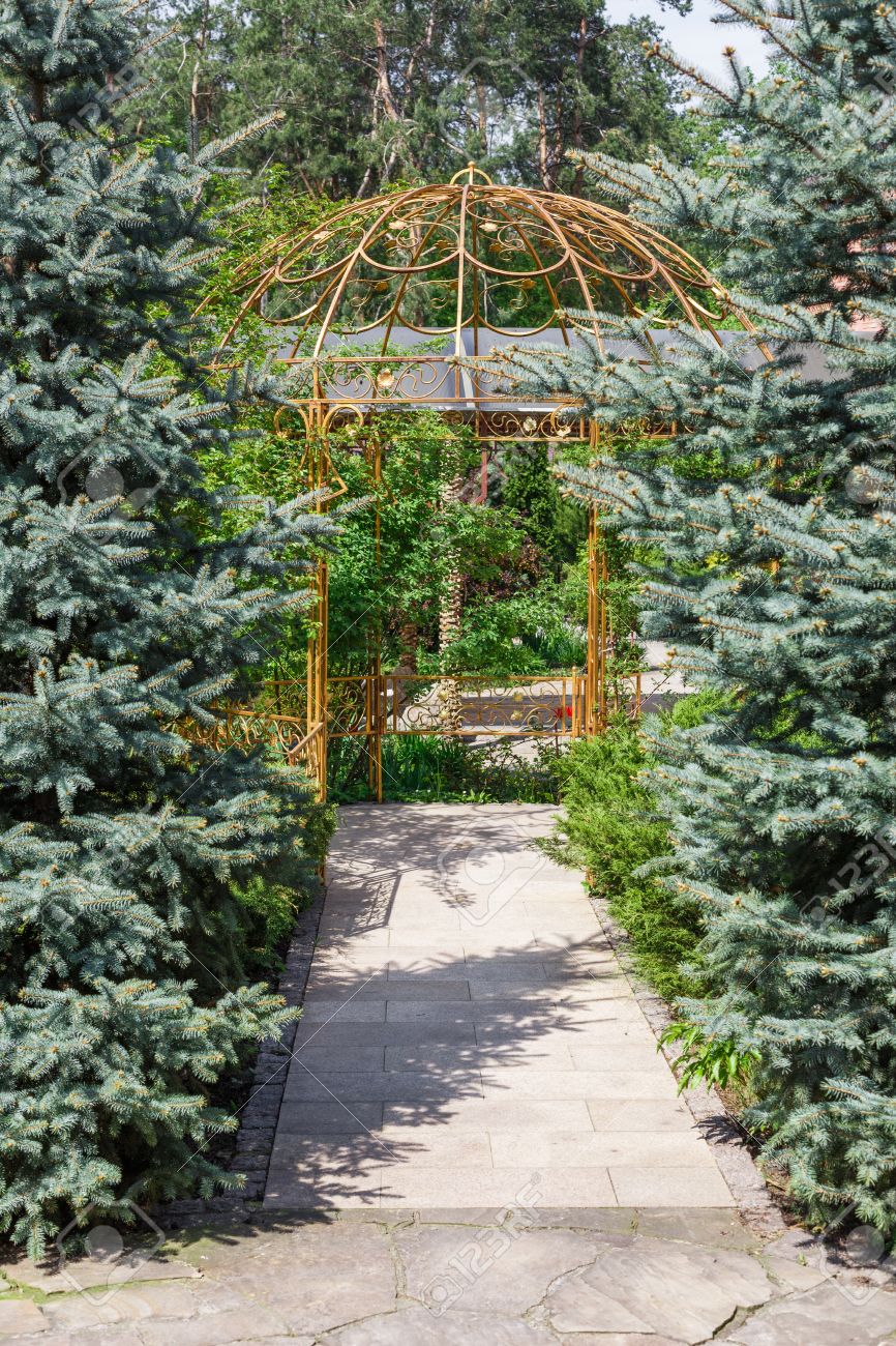 photo belle conception de paysage chemin de jardin gazebo en métal et arbres à feuilles persistantes dans la l