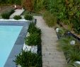 Jardin Paysager Moderne Frais Paysagiste Biarritz Création Et Aménagement Terrasse