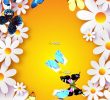 Le Jardin Des Papillons Best Of Mon Jardin Des Papillons Pour android Téléchargez L Apk