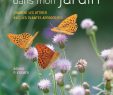 Le Jardin Des Papillons Charmant Amazon Des Papillons Dans Mon Jardin Ment Les