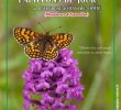Le Jardin Des Papillons Charmant atlas Des Papillons De Jour De Bourgogne Et Franche Té