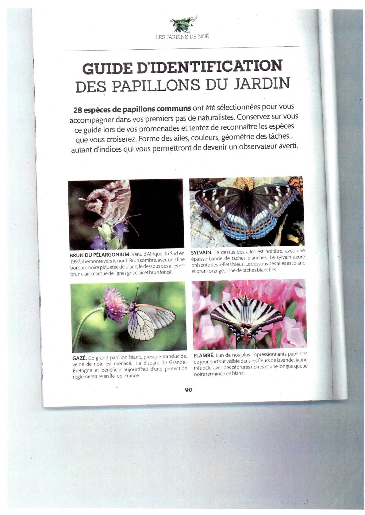 Le Jardin Des Papillons Charmant Calaméo Guide D Identification Des Papillons Du Jardin