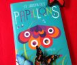 Le Jardin Des Papillons Charmant Livre Pop Up Le Jardin Des Papillons Maman Fouine