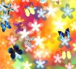 Le Jardin Des Papillons Charmant Mon Jardin Des Papillons Pour android Téléchargez L Apk