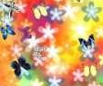 Le Jardin Des Papillons Charmant Mon Jardin Des Papillons Pour android Téléchargez L Apk