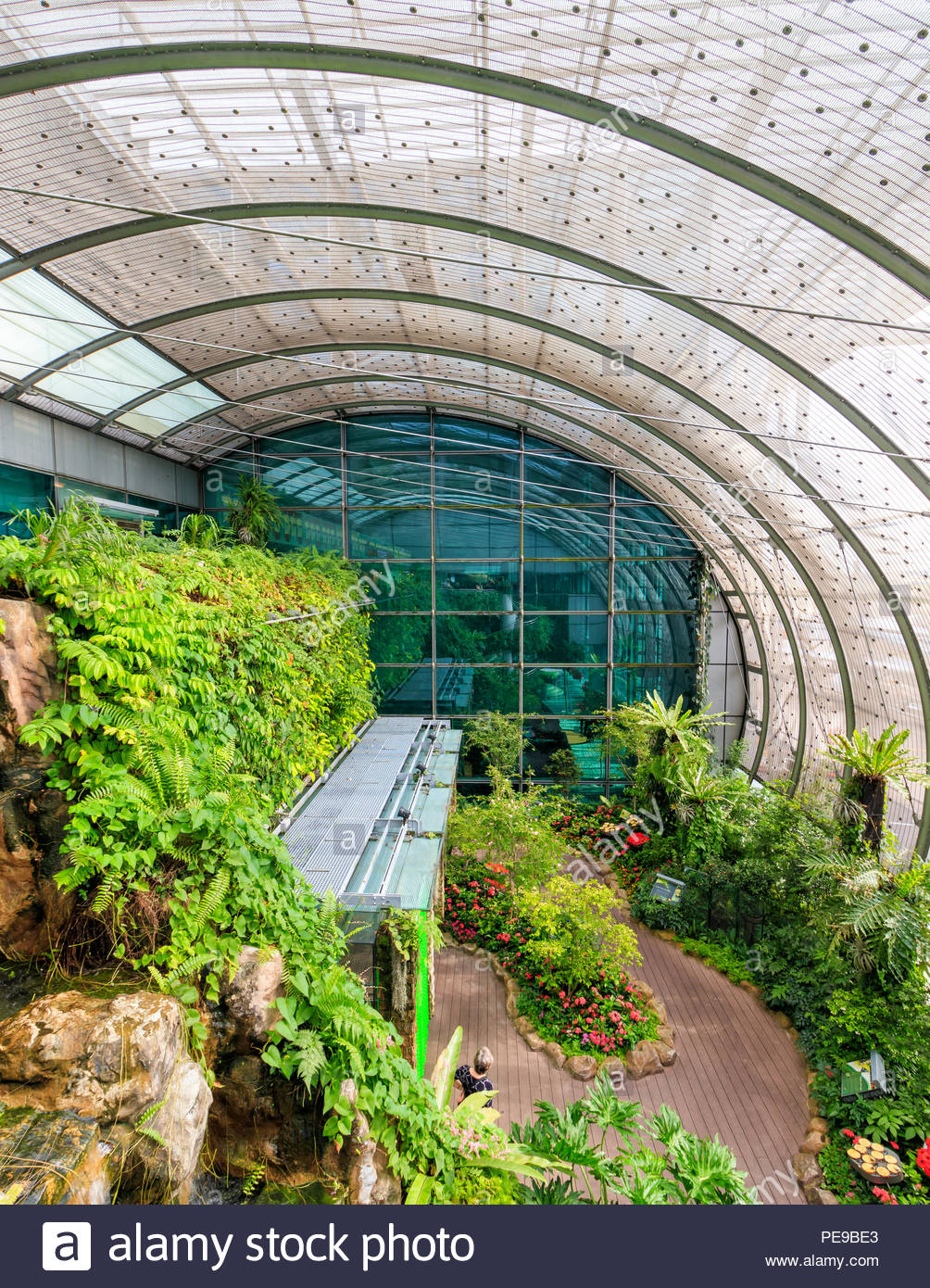 Le Jardin Des Papillons Élégant Jardin Des Papillons S & Jardin Des Papillons