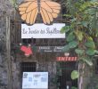 Le Jardin Des Papillons Frais Le Jardin Des Papillons Carbet Martinique