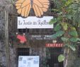 Le Jardin Des Papillons Frais Le Jardin Des Papillons Carbet Martinique