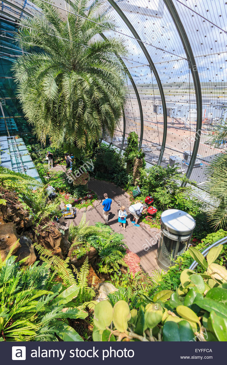 Le Jardin Des Papillons Frais Le Jardin Des Papillons   Changi L Aéroport International