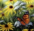 Le Jardin Des Papillons Génial Rosemary Millette Painted Lady butterfly