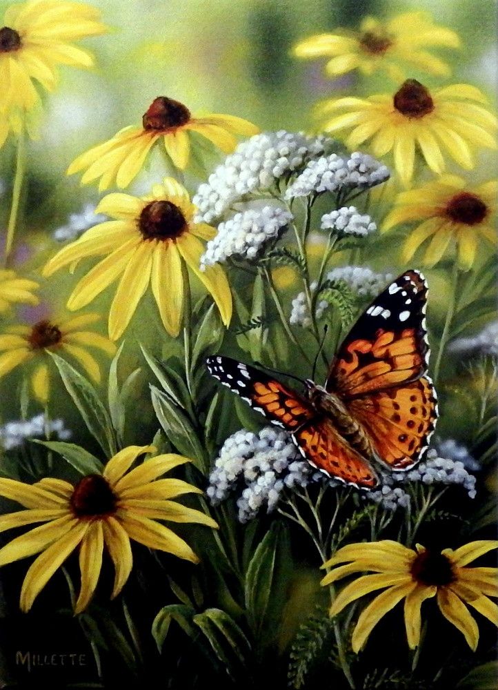 Le Jardin Des Papillons Génial Rosemary Millette Painted Lady butterfly