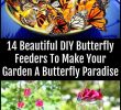 Le Jardin Des Papillons Inspirant 14 Magnifiques Mangeoires   Papillons Pour Faire De Votre