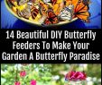 Le Jardin Des Papillons Inspirant 14 Magnifiques Mangeoires   Papillons Pour Faire De Votre