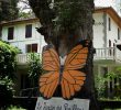 Le Jardin Des Papillons Inspirant Martinique En 2020 Avec Images