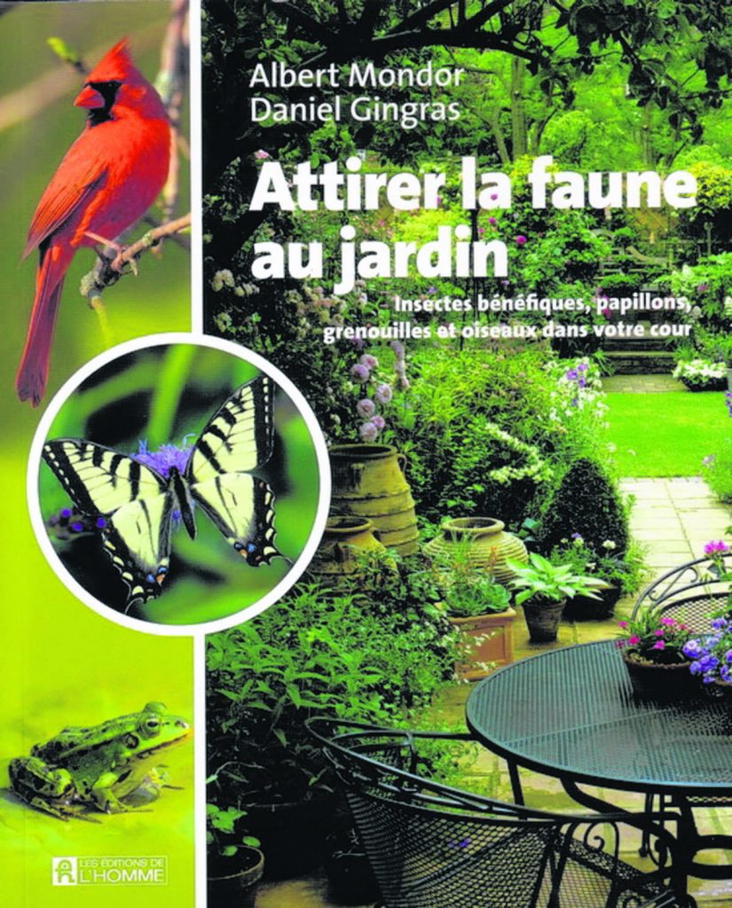 Le Jardin Des Papillons Nouveau Des Papillons Et Des Colibris Au Jardin Le Canada Fran§ais