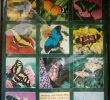 Le Jardin Des Papillons Nouveau Jardin Des Papillons Travel Guidebook –must Visit