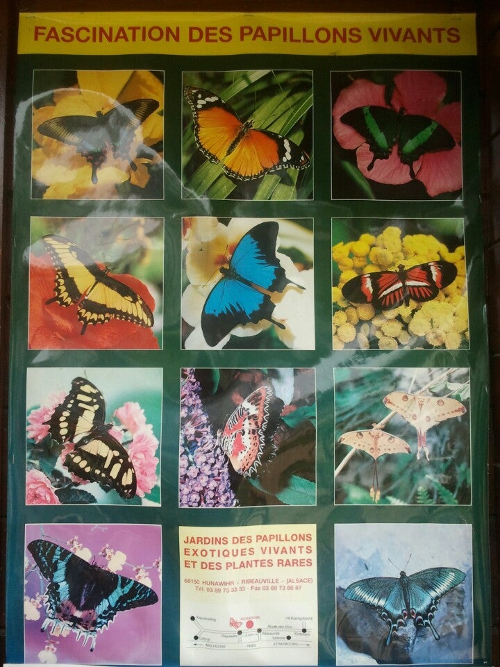 Le Jardin Des Papillons Nouveau Jardin Des Papillons Travel Guidebook –must Visit