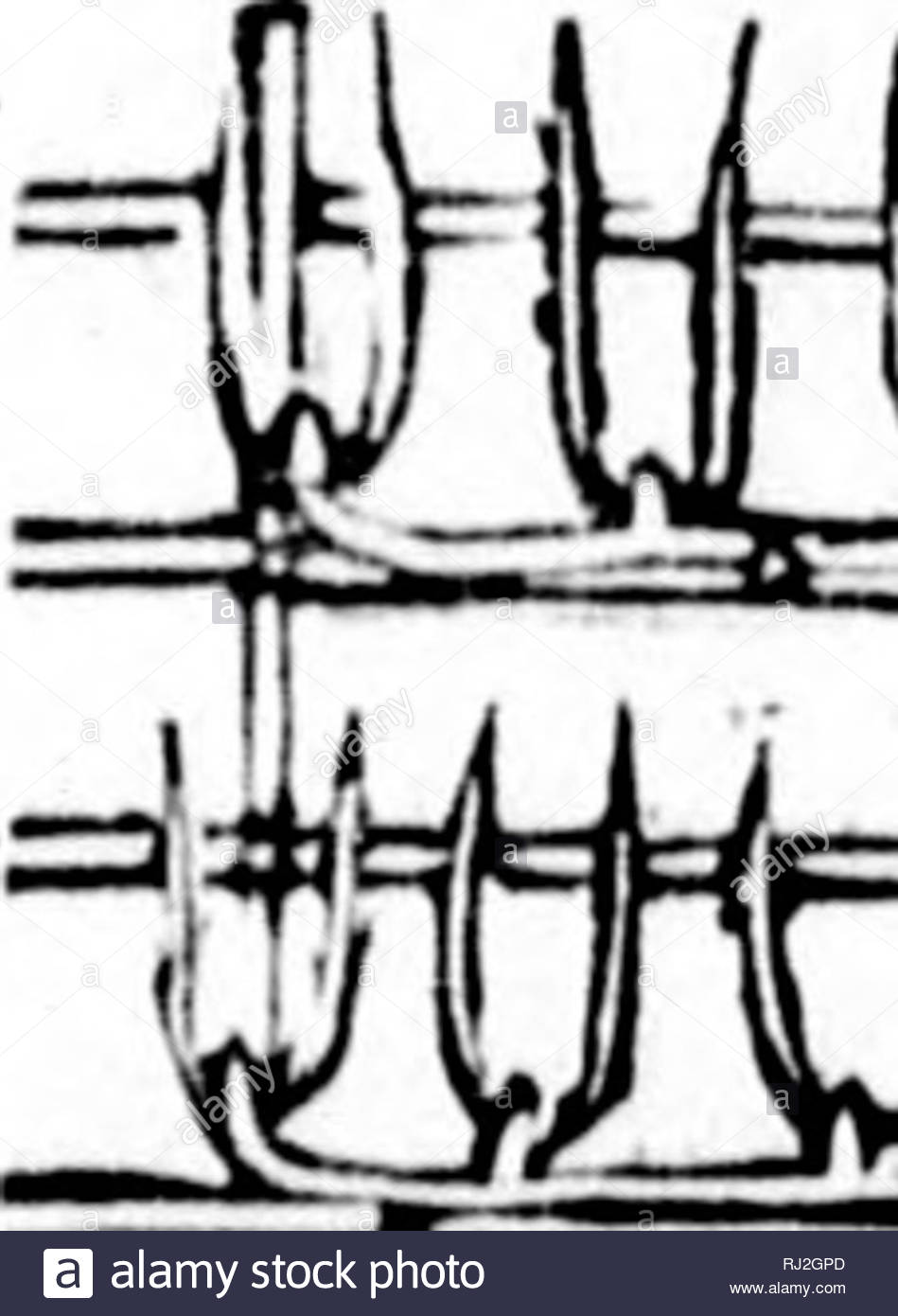 le verger cana n ou culture raisonne des fruits qui peuvent russir dans les vergers et les jardins du canada microforme horticulture potagre fruit culture v 1 h iht tf i 1 i h if iik t xsi i m 1 m wk r m quot f f i lii j 1 if i r 1 r i 162 de la vigne donne elle mme elle pourim demeurer des annes sans donner de fruits et le plus souvent ces fruits seront de qualit iifrieure mais dun autre ct nulle part la taille ne se fait plus dirocte ment sentir que sur la vigne tant pour la prco cit que pour RJ2GPD