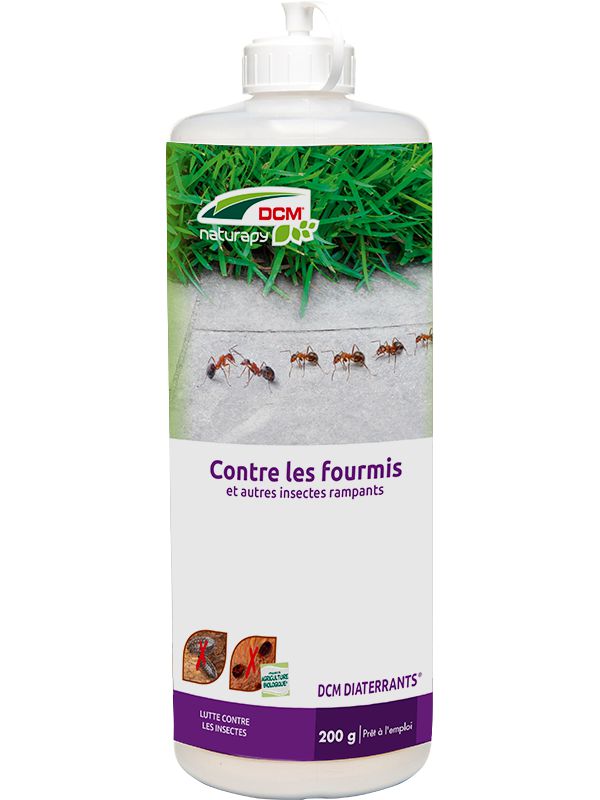 Lutter Contre Les Fourmis Au Jardin Beau Anti Fourmis Diatomee Pure 200g Dcm