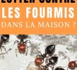 Lutter Contre Les Fourmis Au Jardin Beau Ment Lutter Contre Les Fourmis Dans La Maison