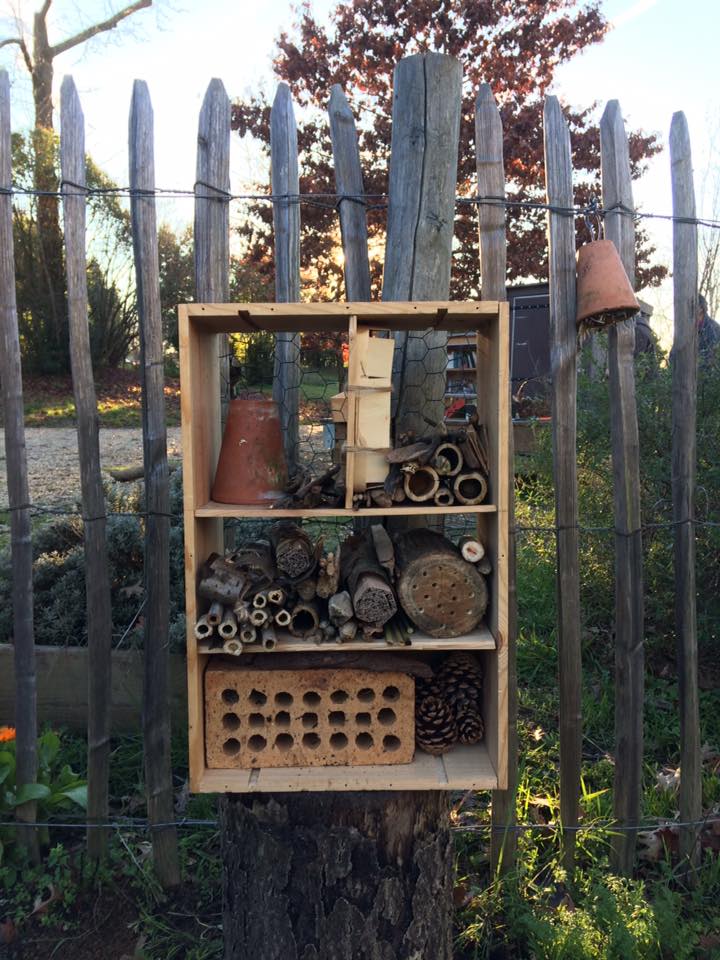 Lutter Contre Les Fourmis Au Jardin Best Of Construction D Un H´tel   Insectes Au Jardin De Bacchus