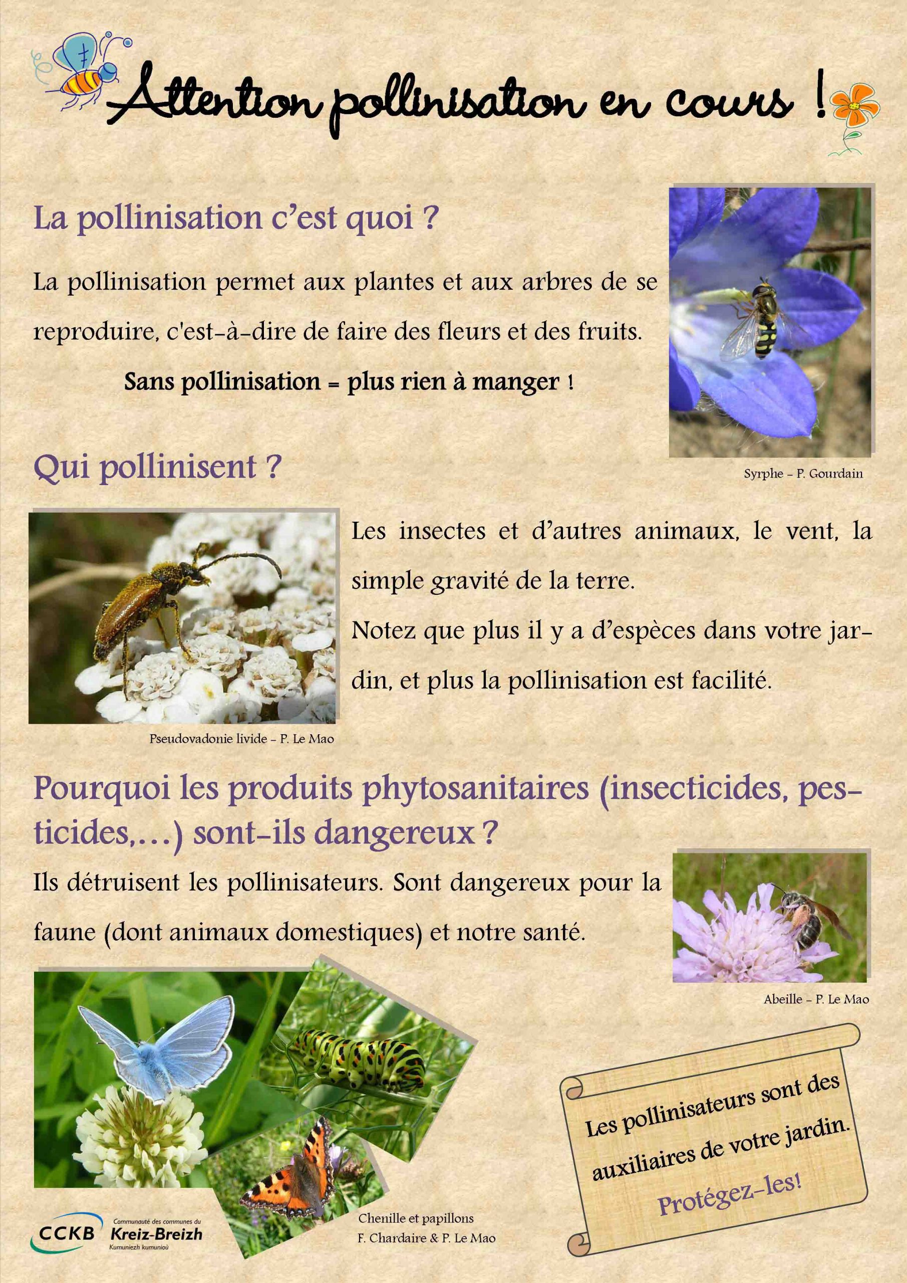 Pollinisation