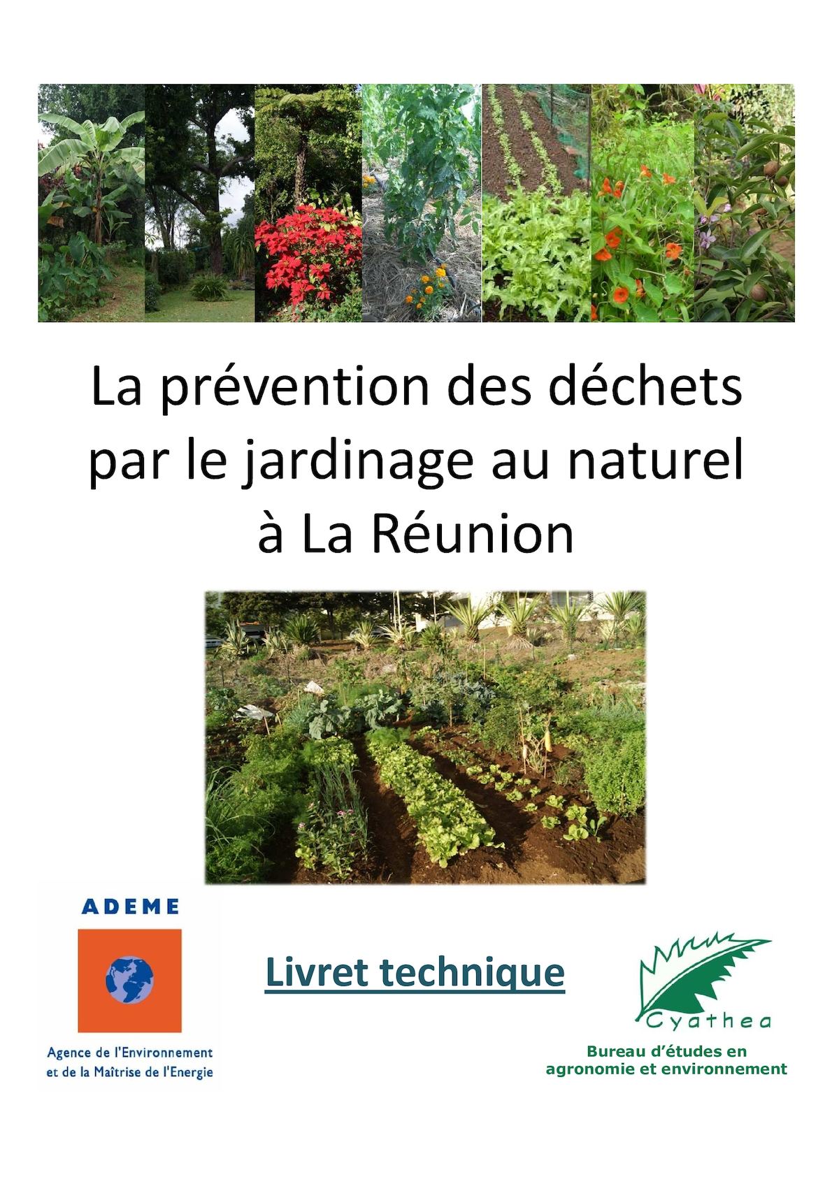 Lutter Contre Les Fourmis Au Jardin Frais Calaméo Guide Du Jardinage Au Naturel