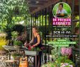 Lutter Contre Les Fourmis Au Jardin Inspirant Fleurmidable Dcm 2019 by Dcm issuu