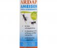 Lutter Contre Les Fourmis Au Jardin Luxe Quiko Lutte Contre Fourmis Ardap Fourmis Litire Et Gies Mittel 250 G Blanc