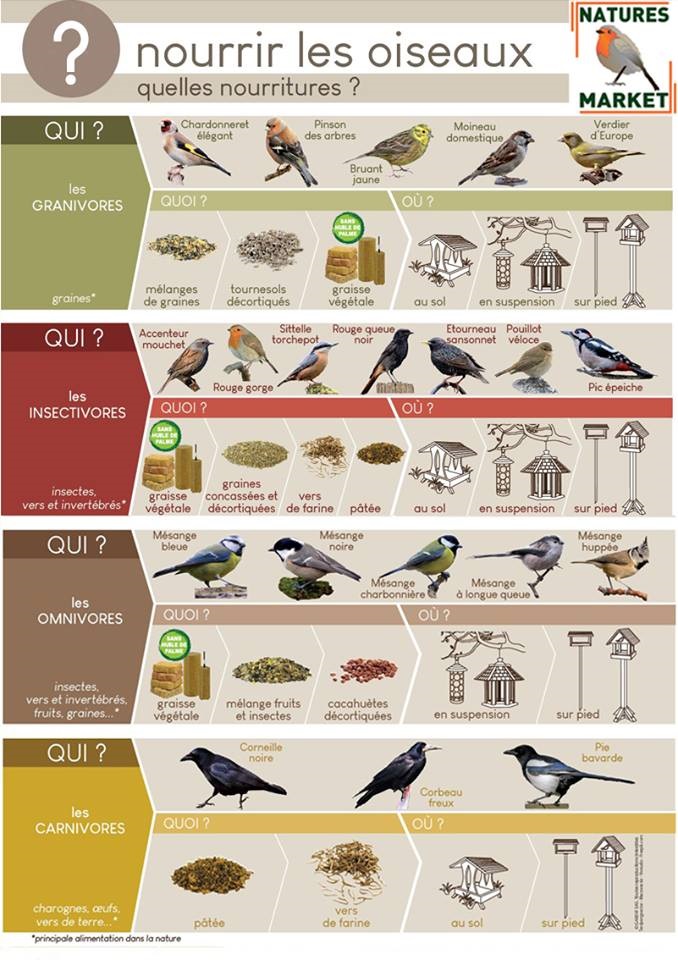 Nourrir Les Oiseaux Du Jardin Beau Bien Nourrir Les Oiseaux En Hiver Randonnée Pédestre En