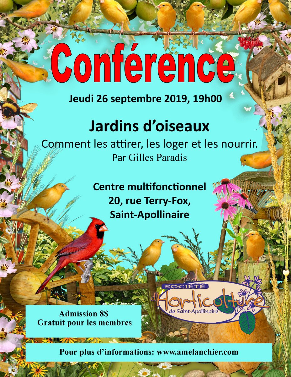 Nourrir Les Oiseaux Du Jardin Best Of Conférence 26 Septembre Jardins D Oiseaux