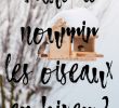 Nourrir Les Oiseaux Du Jardin Best Of Faut Il Nourrir Les Oiseaux En Hiver Perpétuelle