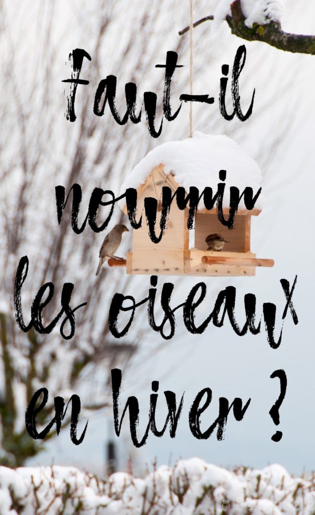 Nourrir Les Oiseaux Du Jardin Best Of Faut Il Nourrir Les Oiseaux En Hiver Perpétuelle