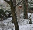 Nourrir Les Oiseaux Du Jardin Best Of Ment Et Pourquoi Nourrir Les Oiseaux Au Jardin – Un