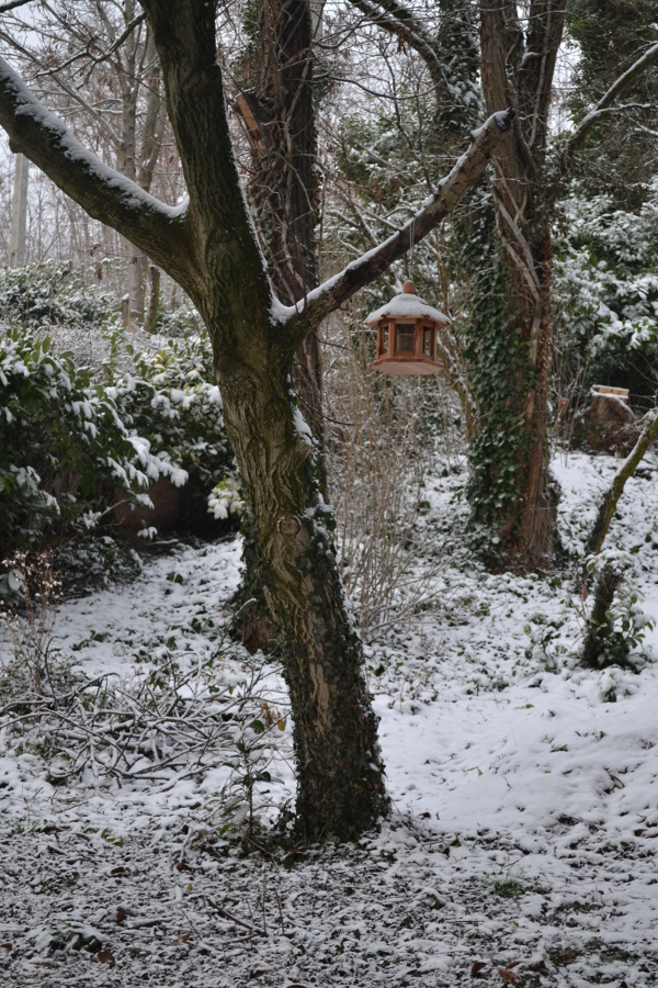 unmatinaujardin nourrir oiseau hiver