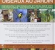 Nourrir Les Oiseaux Du Jardin Charmant Amazon attirer Et Nourrir Les Oiseaux Au Jardin Green