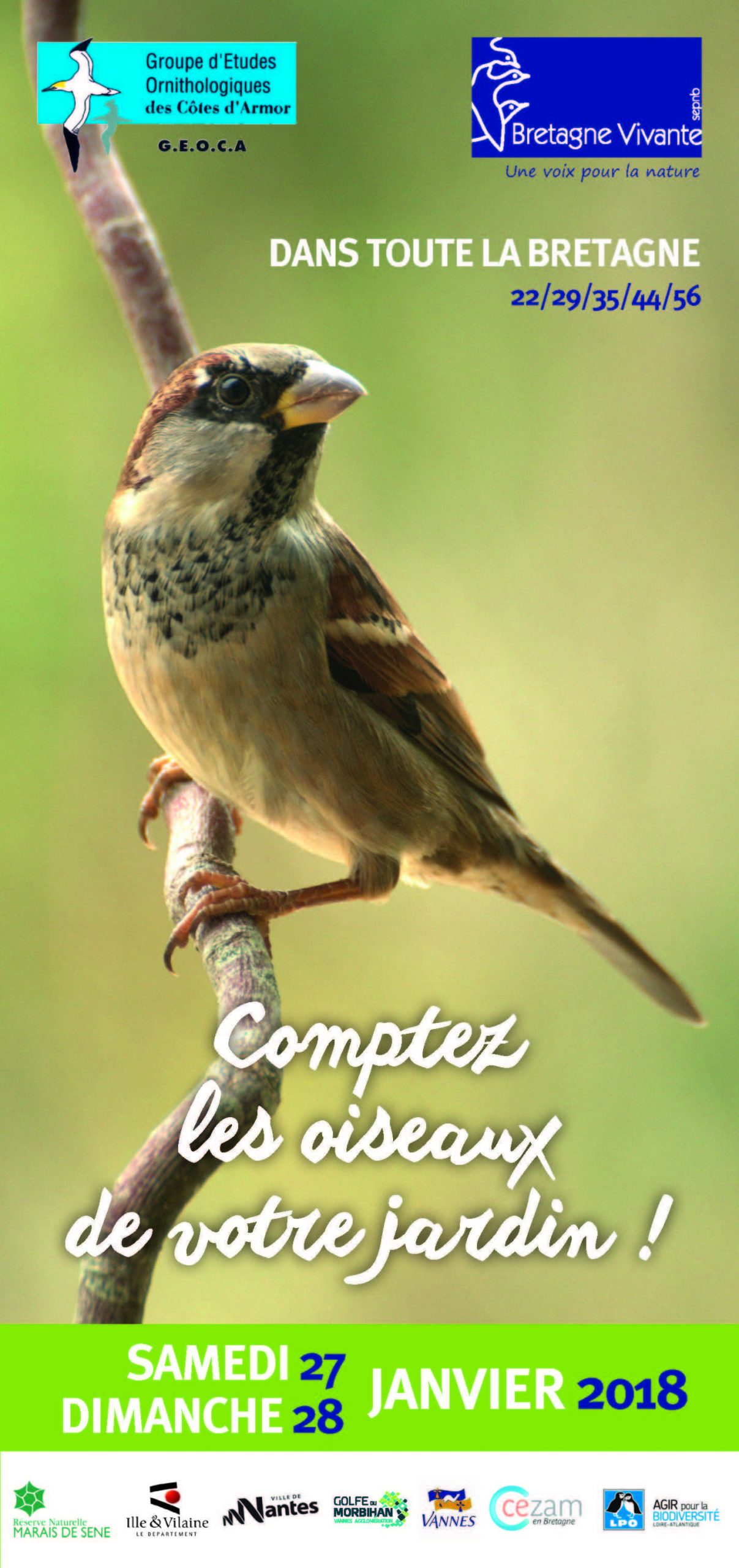 Nourrir Les Oiseaux Du Jardin Élégant Les Oiseaux Des Jardins Bretagne Vivante