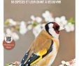 Nourrir Les Oiseaux Du Jardin Frais Calaméo Guides Oiseaux De Nos Jardins