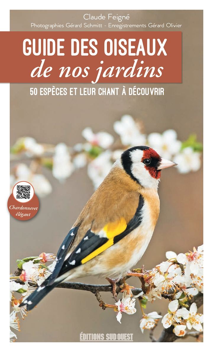 Nourrir Les Oiseaux Du Jardin Frais Calaméo Guides Oiseaux De Nos Jardins